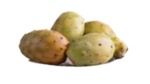 Natural Nopal Cactus